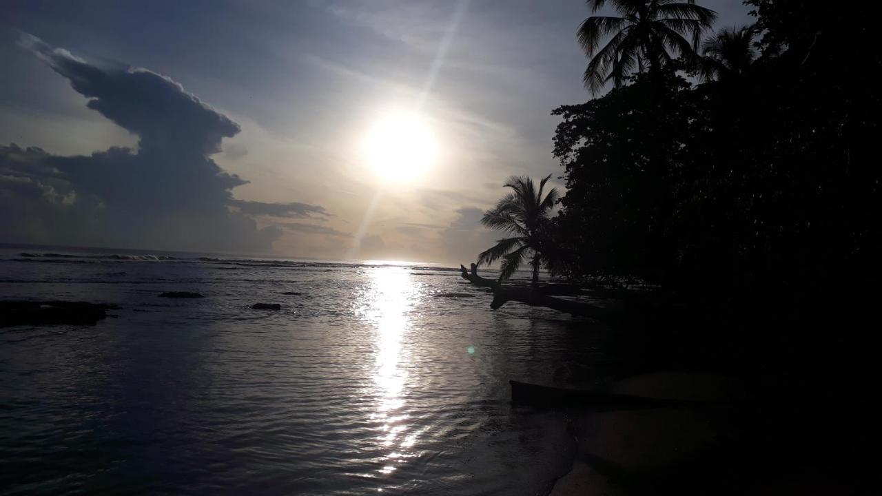 Hotel Casa Vito Beachfront Puerto Viejo de Talamanca 外观 照片