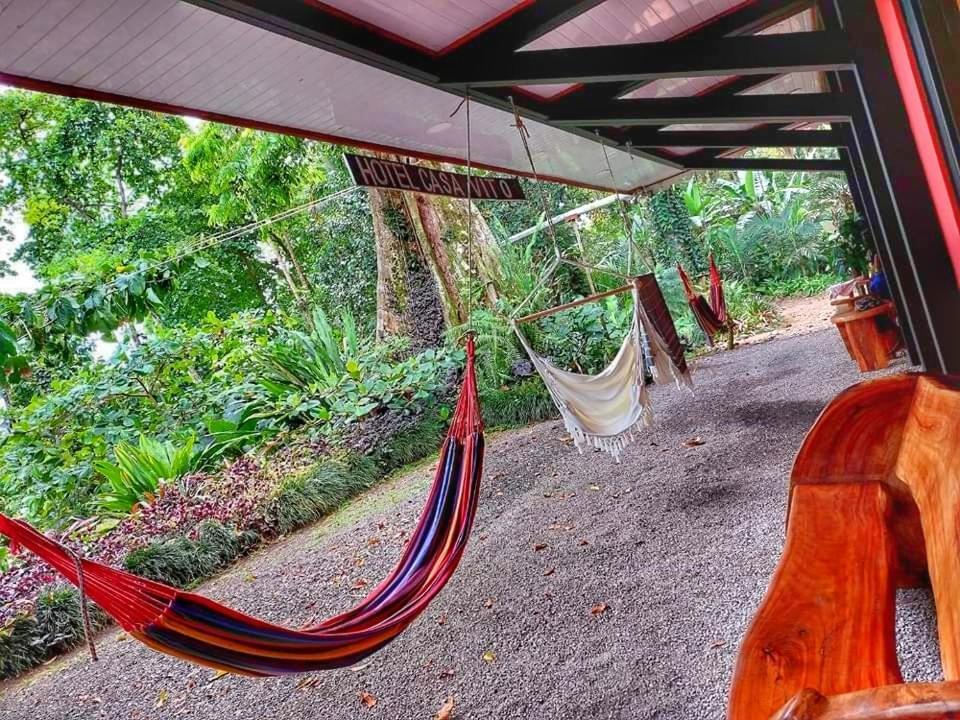 Hotel Casa Vito Beachfront Puerto Viejo de Talamanca 外观 照片